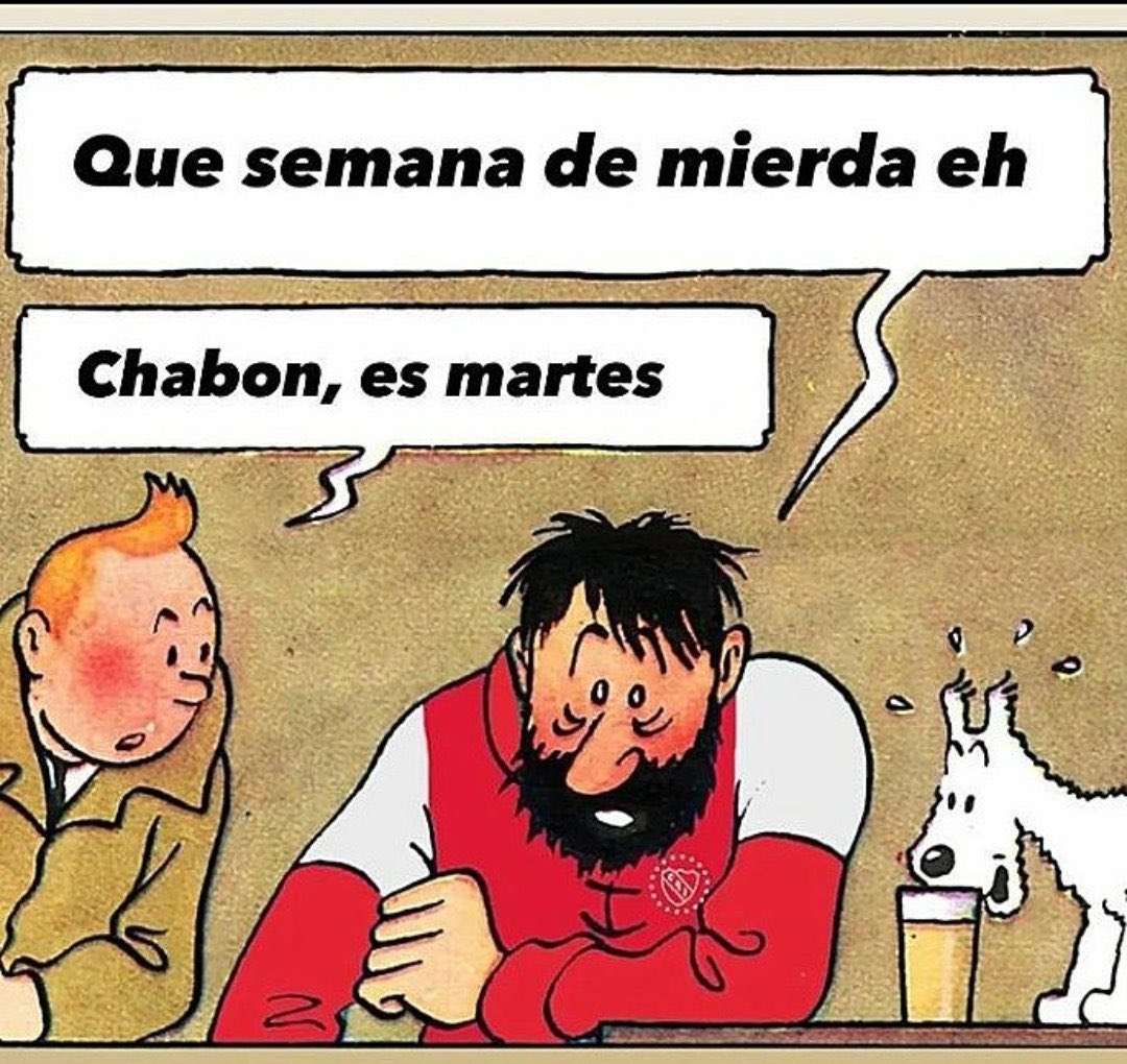 мαятιη tweet media