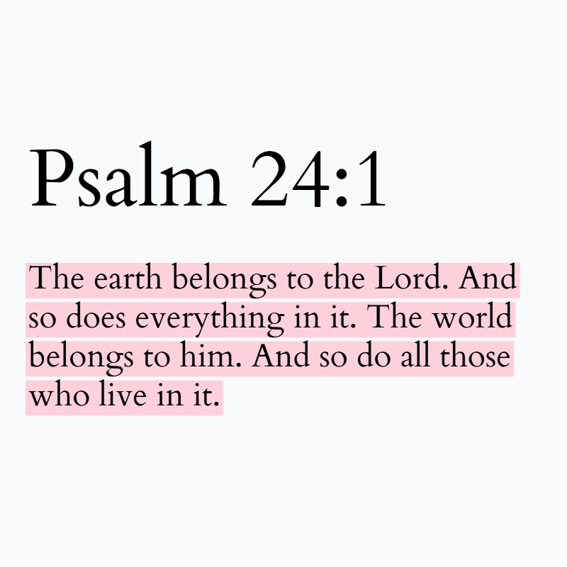 Holy Bible tweet media