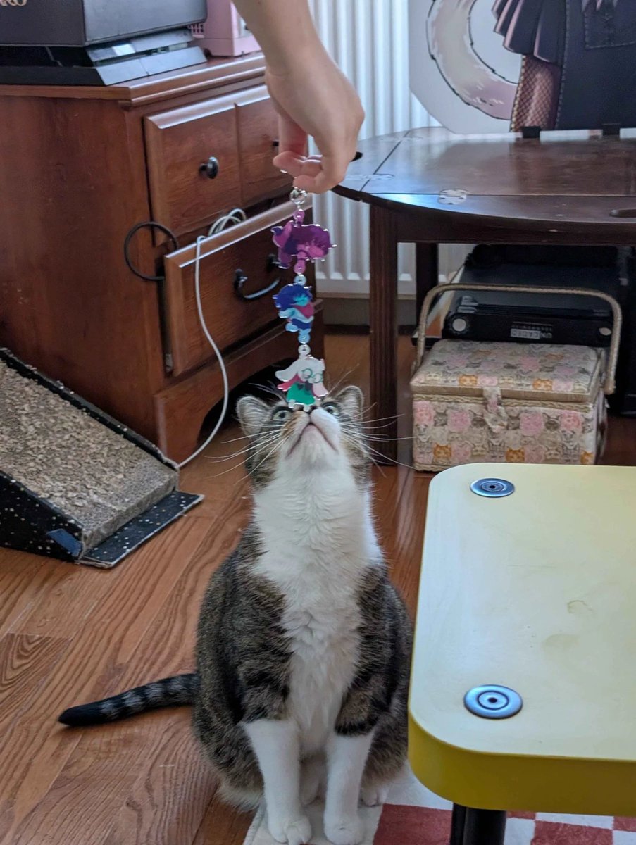 ᴍɪɴ / ᴇɪʜᴀ tweet media