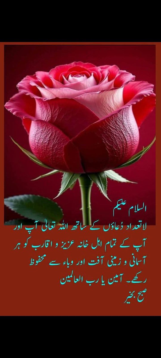 السلام وعلیکم ورحمتہ اللہ وبرکاتہ ۔