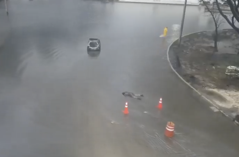 Carlos Torres tweet media