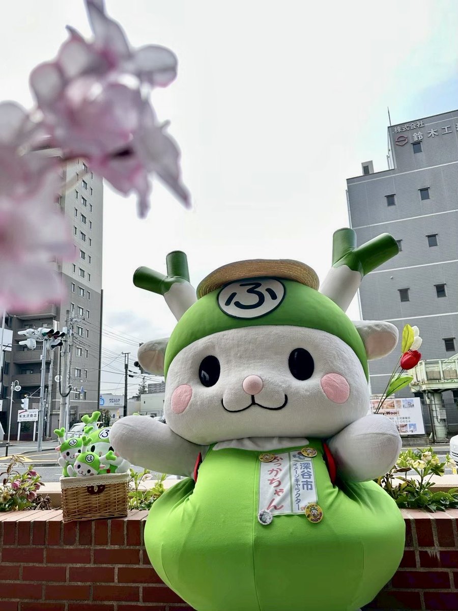 がっくんさん みんなおはよぉ🎵 #桜雨 って春を感じる素敵な響きだね🌸 花が咲く前の