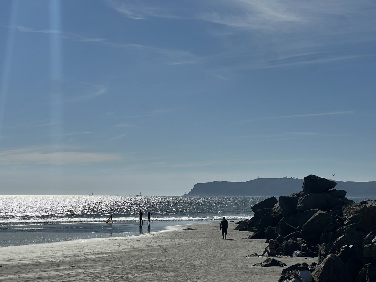 Ashkan Karbasfrooshan tweet media