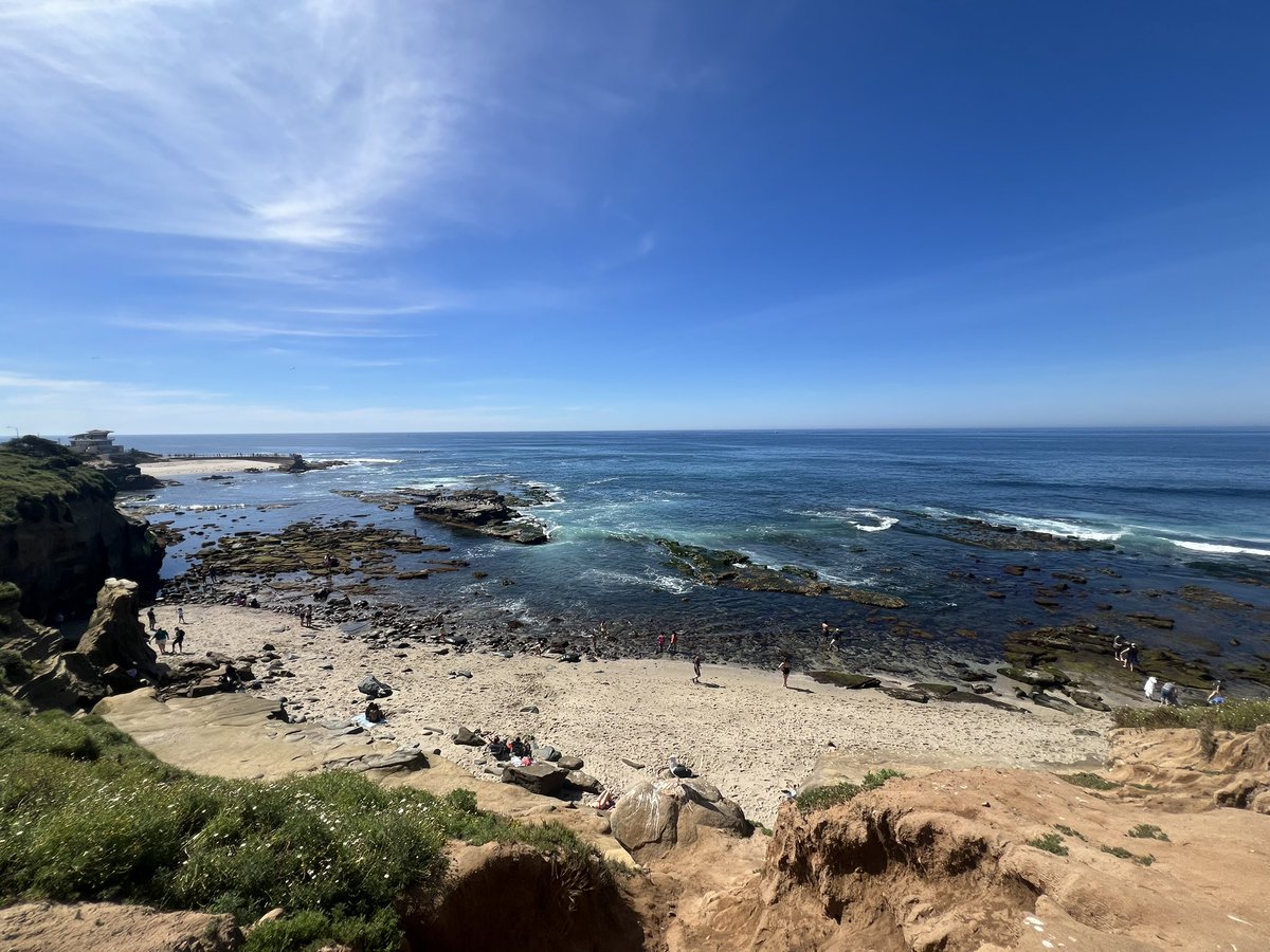 Ashkan Karbasfrooshan tweet media