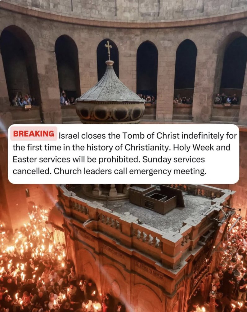 susan abulhawa | سوزان ابو الهوى tweet media