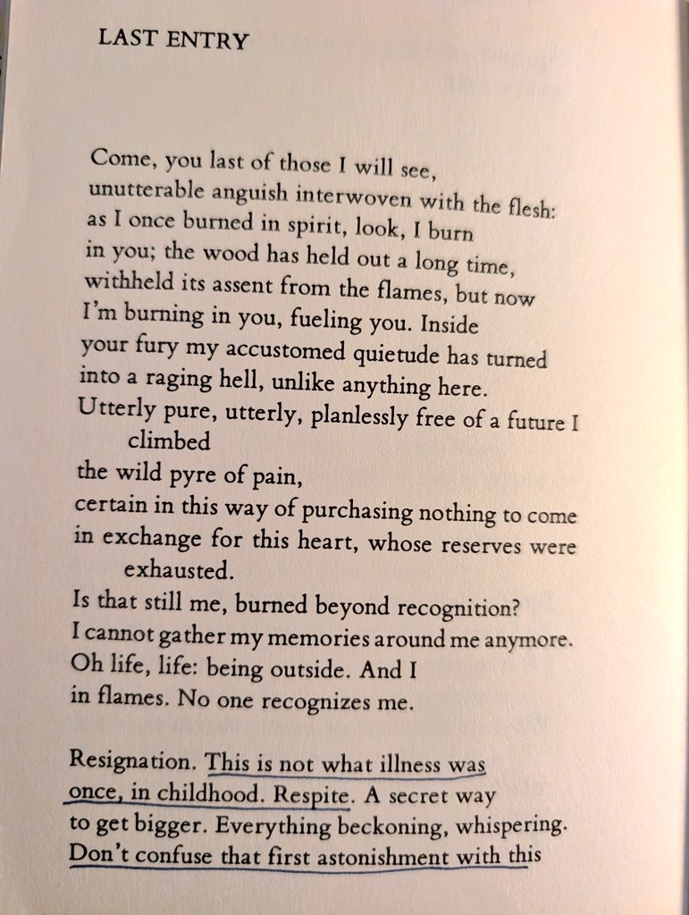 Bianca Stone tweet media