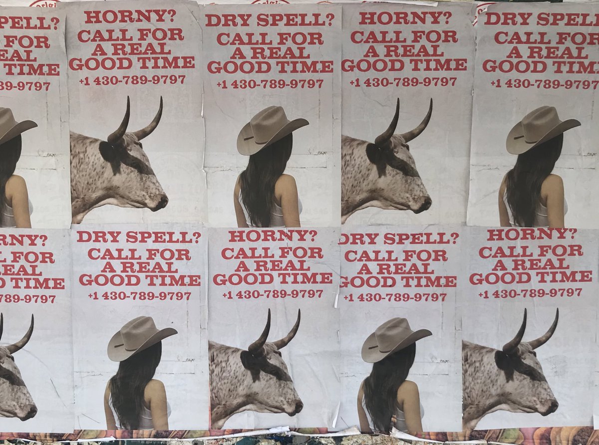 🇲🇽 Kacey Musgraves México tweet media