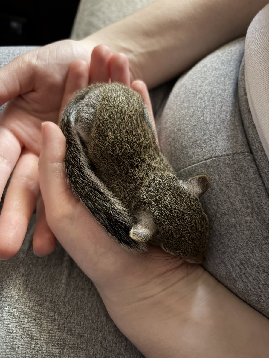 TechOdyssey | #TechRejects tweet media