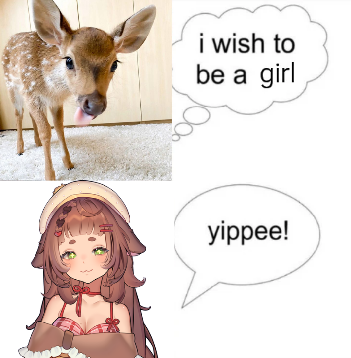 puddi 🍮🍀 ‧₊˚ tweet media