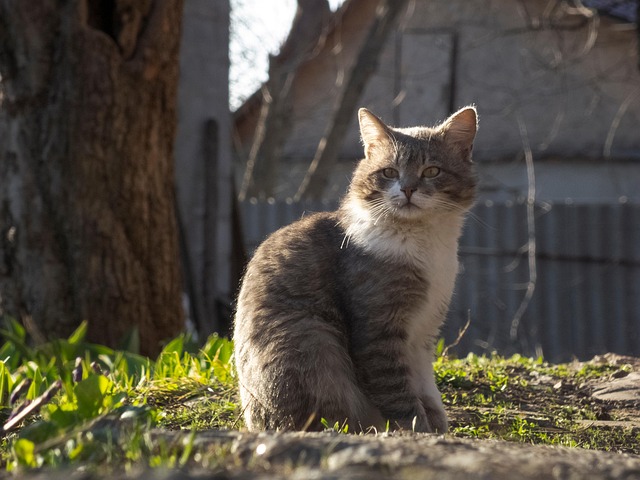 Maggie Mohamed tweet media