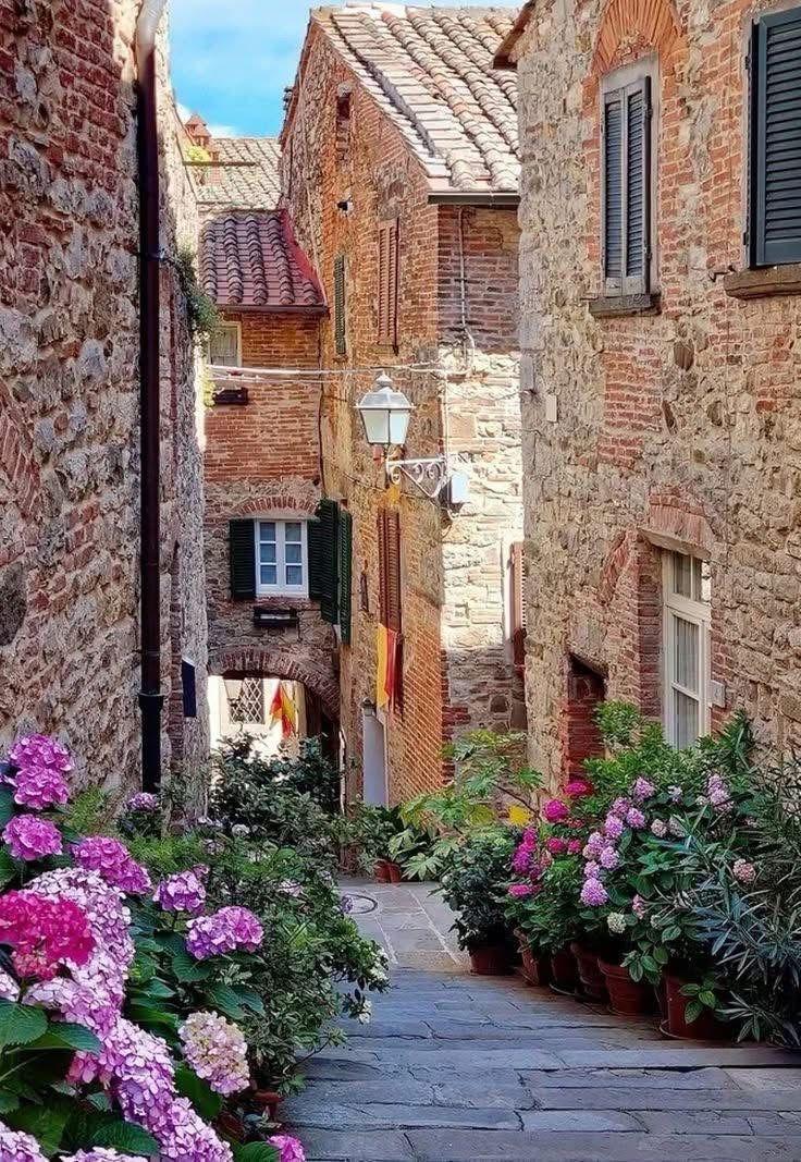 ꒰ ͜͡➸ ❤ A̫̫L̫̫E̫̫S̫̫X̫̫I̫̫A̫̫ ꒰ ͜͡➸❤ tweet media