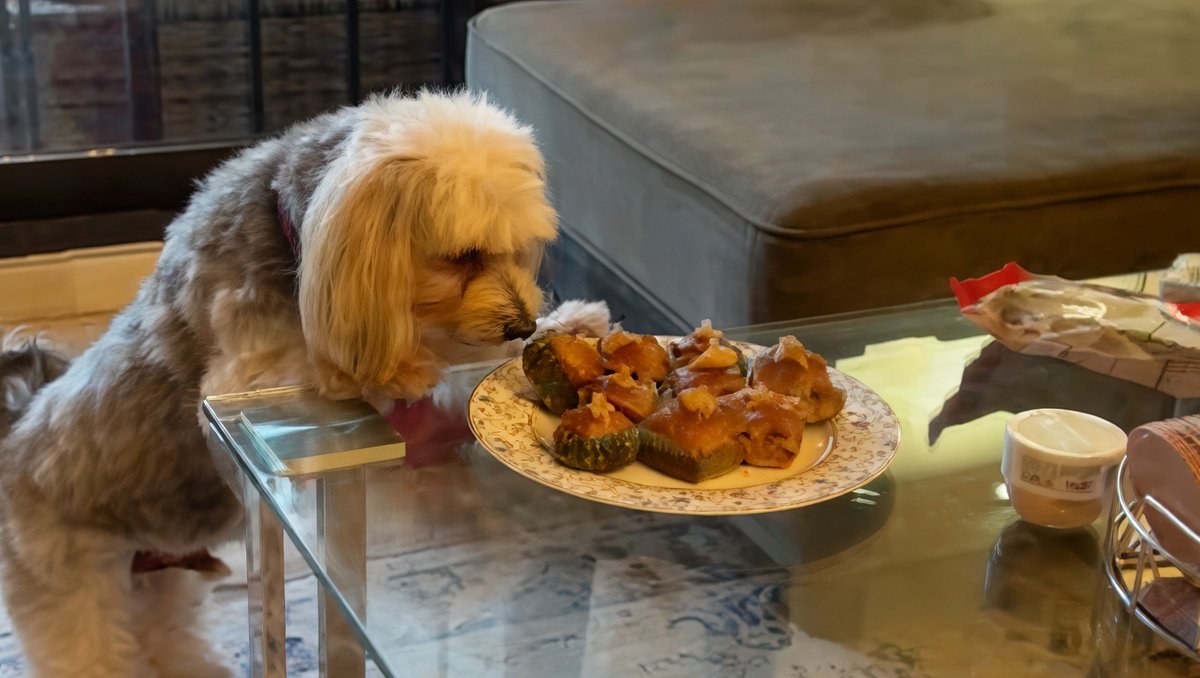 doghouse reilly tweet media