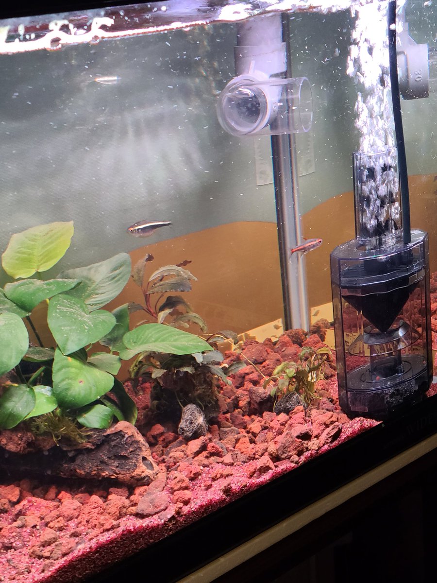 はやったん0721 tweet media