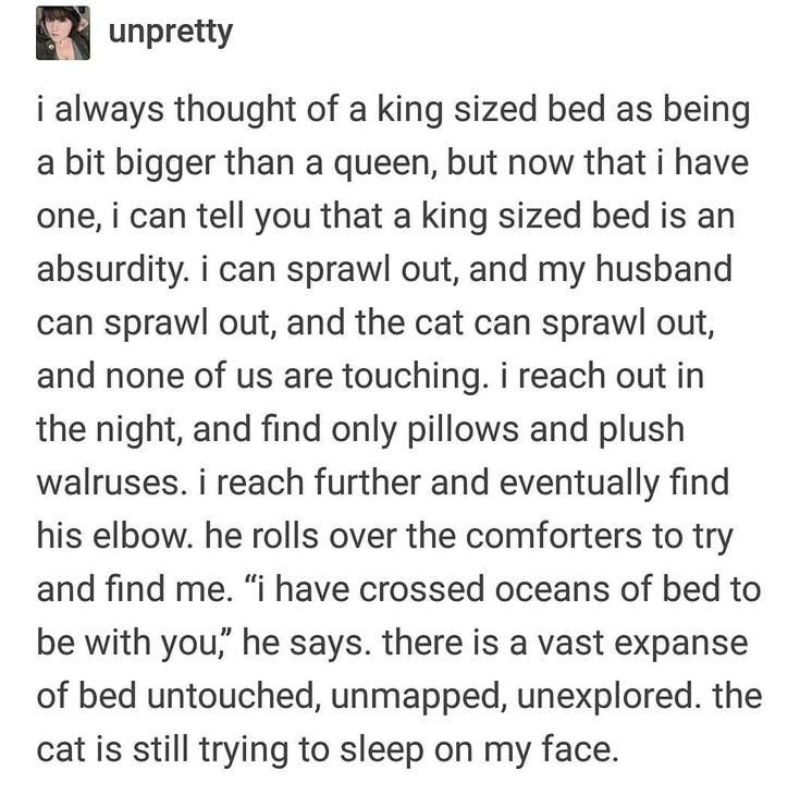 Wolf of X tweet media