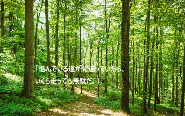 ㋚㋶ tweet media