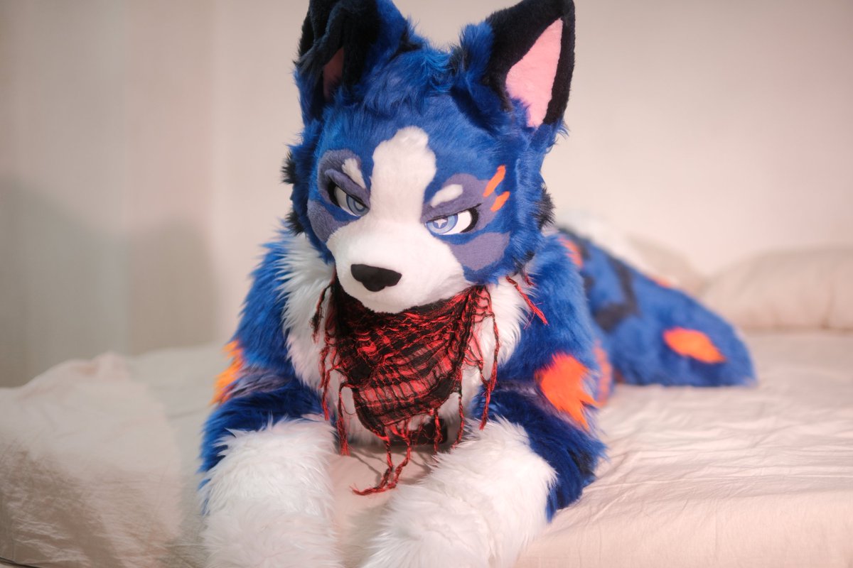 Sparrow🐦 ➡️Furstclass tweet media