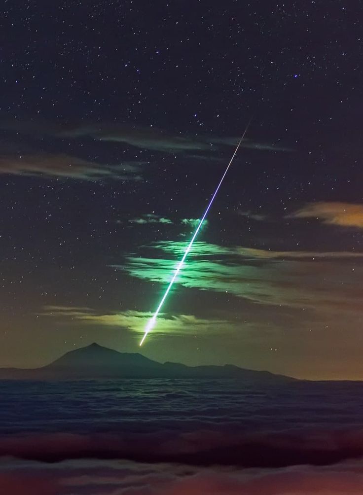 For all Curious tweet media