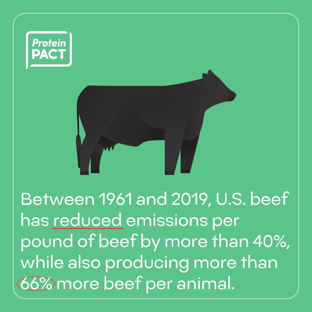 The Protein PACT tweet media
