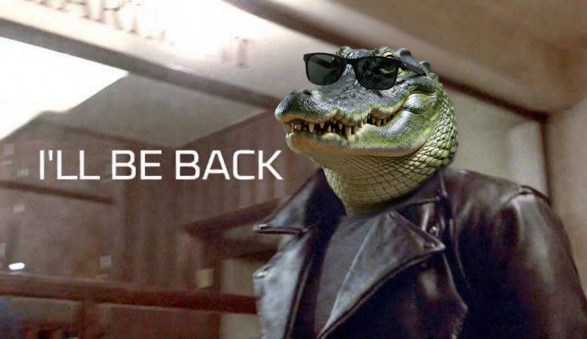 Gator Gar tweet media