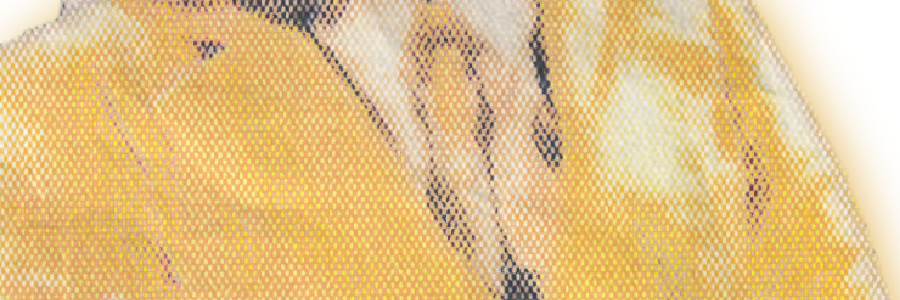 ⁫⁫⁫⁫ ⁫ ⁫ ݁ ‍‍‍‍ ꪆৎ ‍‍‍‍ ͡┈𝓶𝑐𝑛𝑎𝑚𝑎𝑟𝑎. tweet media