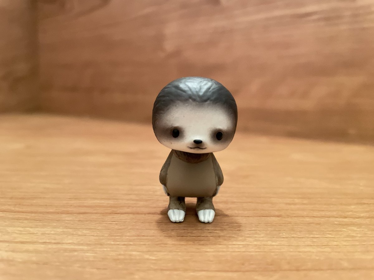 ナマケモノのkeyの日常 tweet media