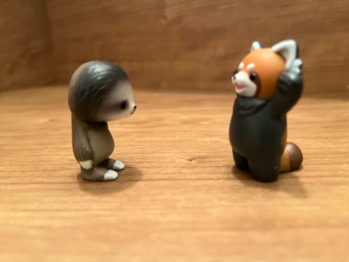 ナマケモノのkeyの日常 tweet media