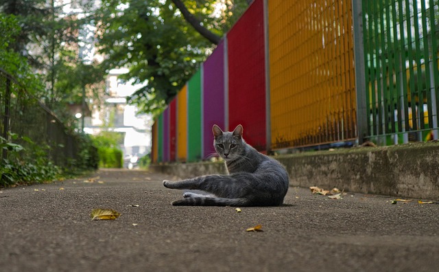 Jessica Mitchell tweet media