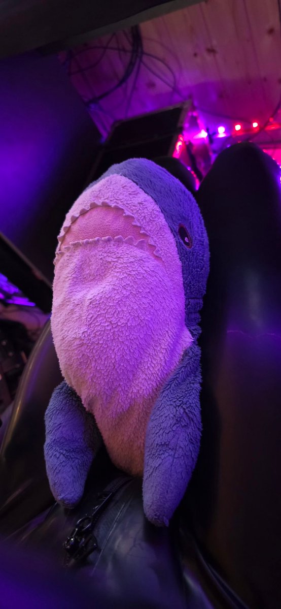 LonePuppy tweet media