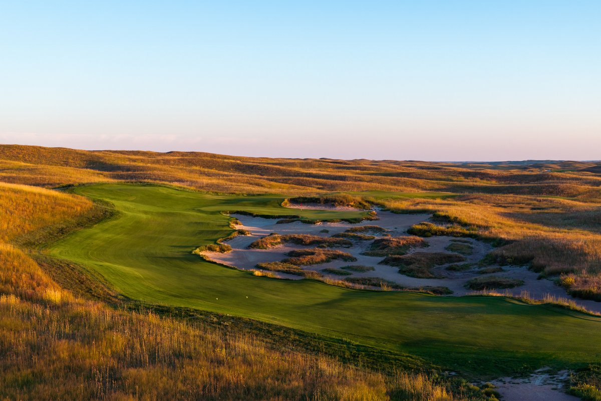 Dormie Network tweet media