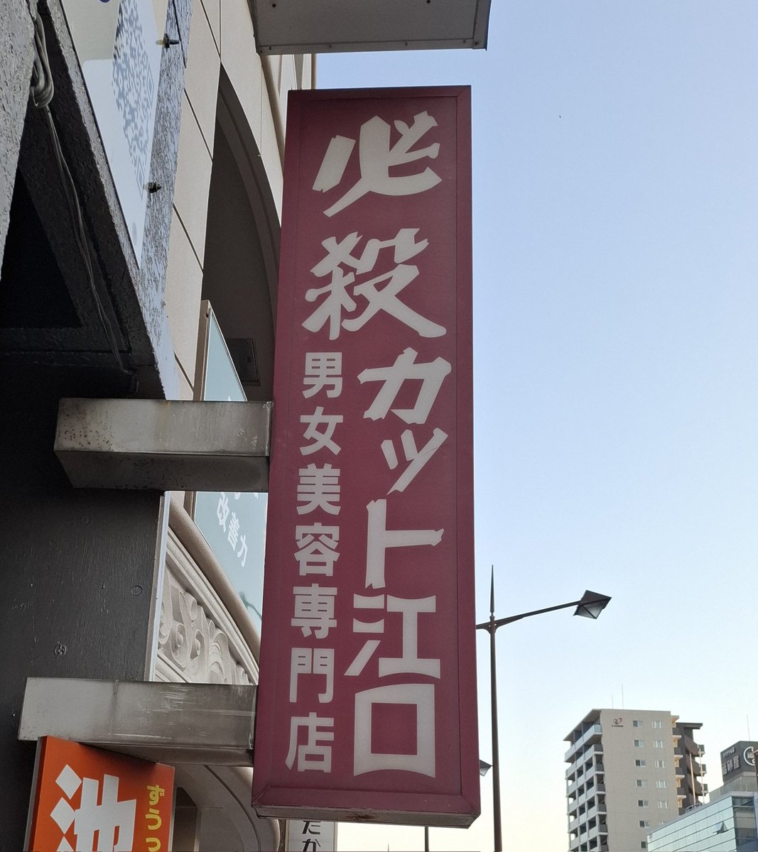 miuharuki's tweet photo. #一緒に行こ https://t.co/T6AIkij2He