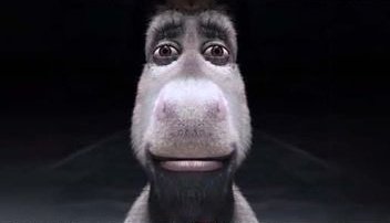 Bodoque Táctico tweet media