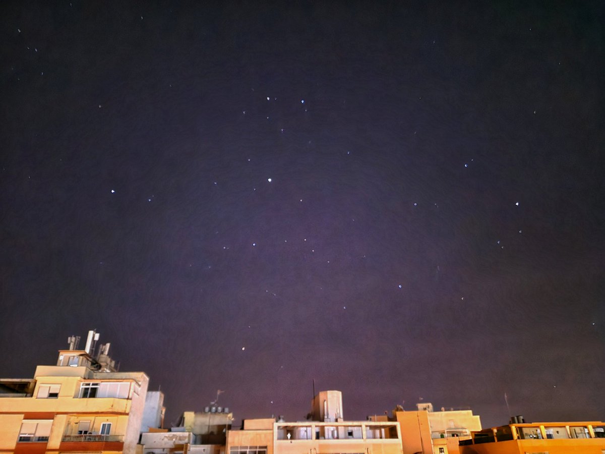 Virginia Rexach tweet media