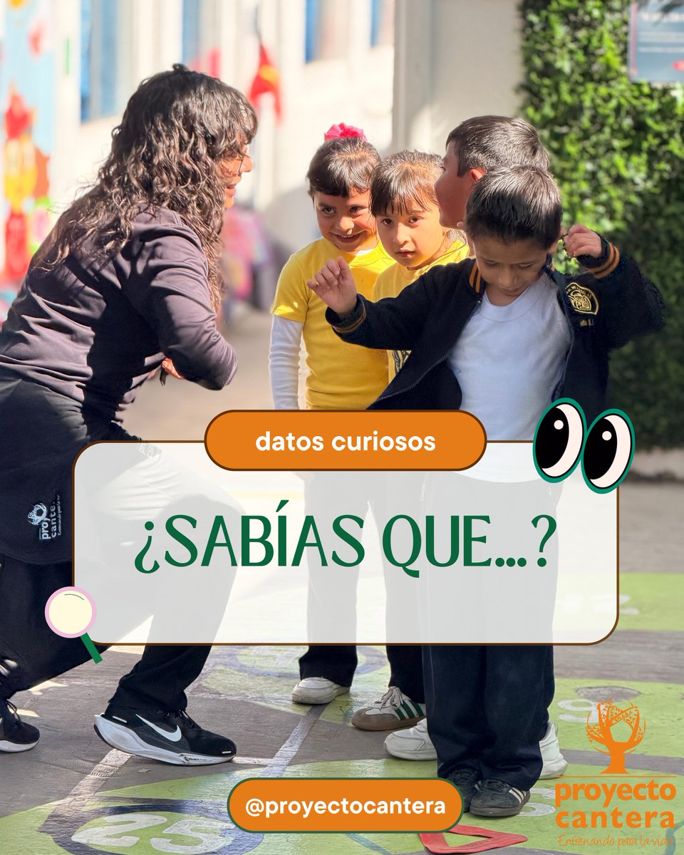 ProyectoCantera's tweet photo. 🚨Pre-registro a la convocatoria de nuevos espacios 2026–2027. 🚨

En Cantera trabajamos con niñas, niños y adolescentes (NNA) a través del juego colaborativo para fortalecer habilidades socioemocionales.
Realiza tu pre-registro y sé parte de una red que transforma desde el juego https://t.co/3CzB4udHrm