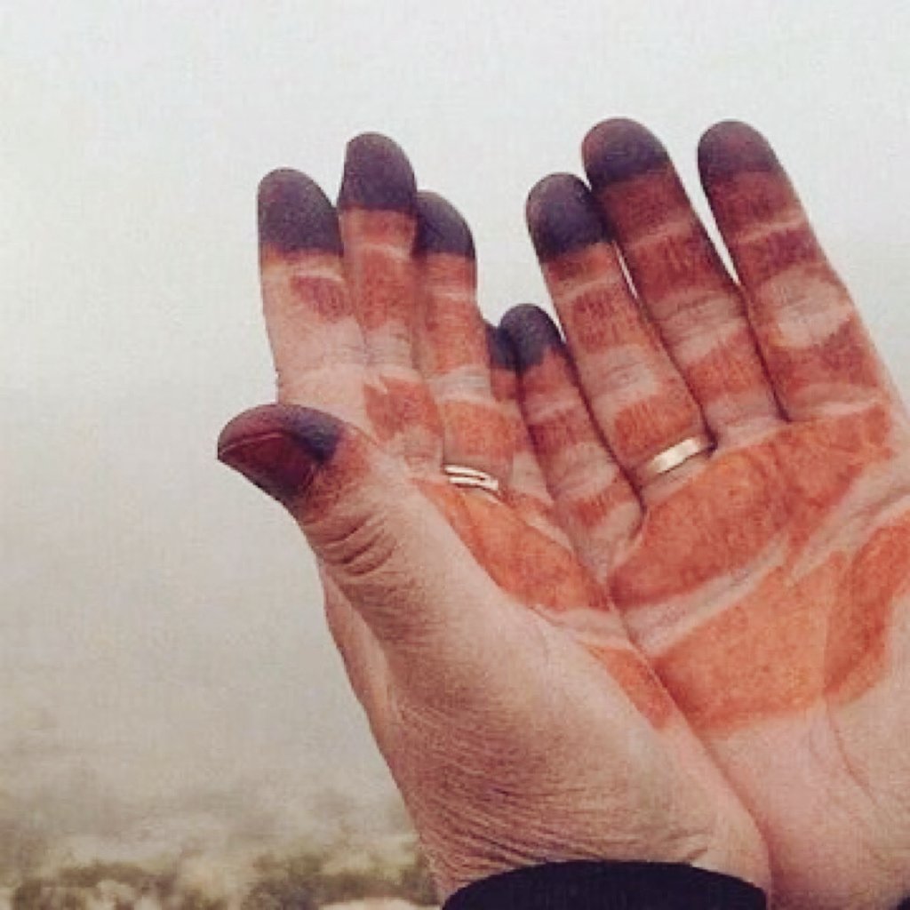 ام فهد tweet media