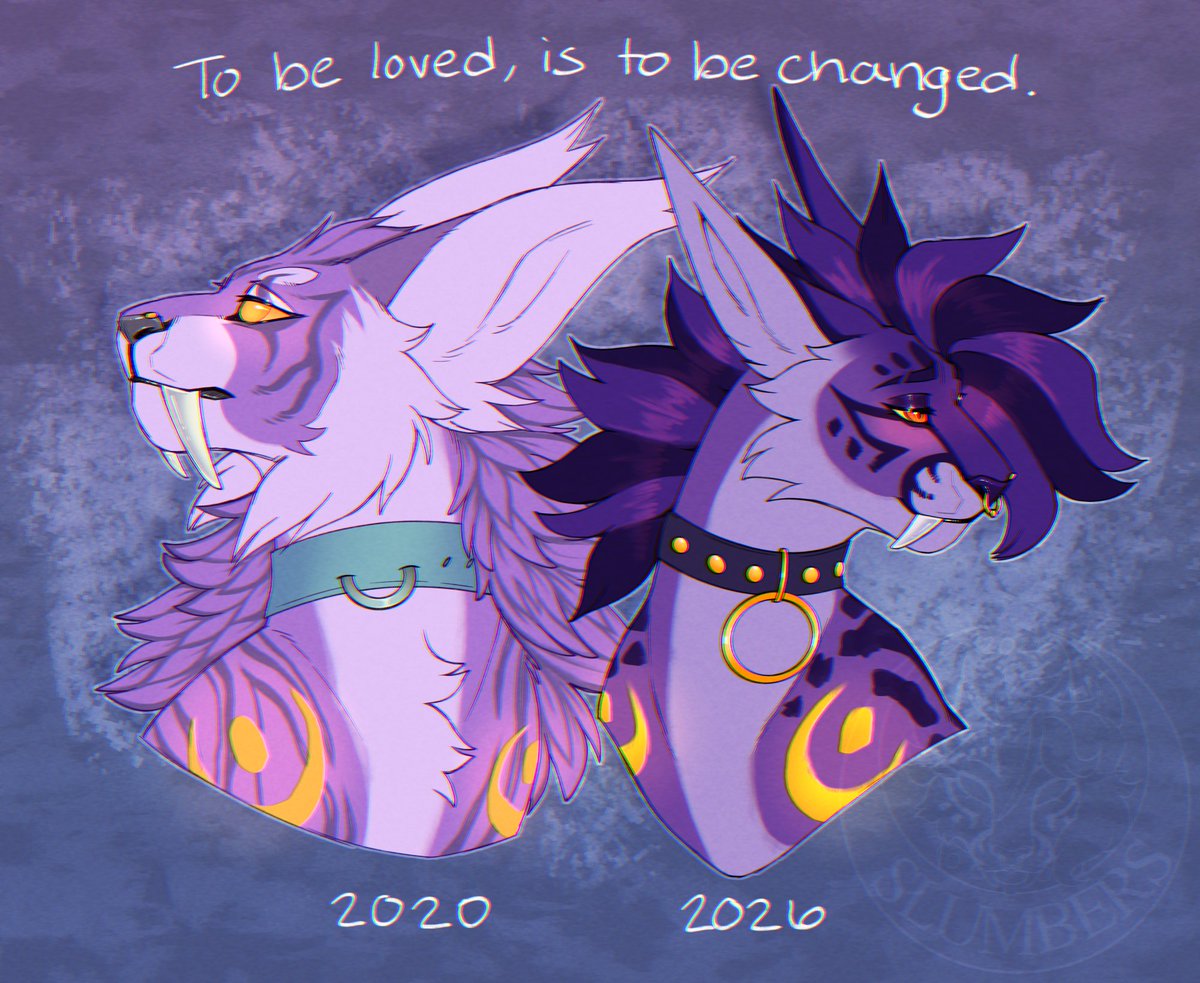 ✦ Slumbers ✦ tweet media