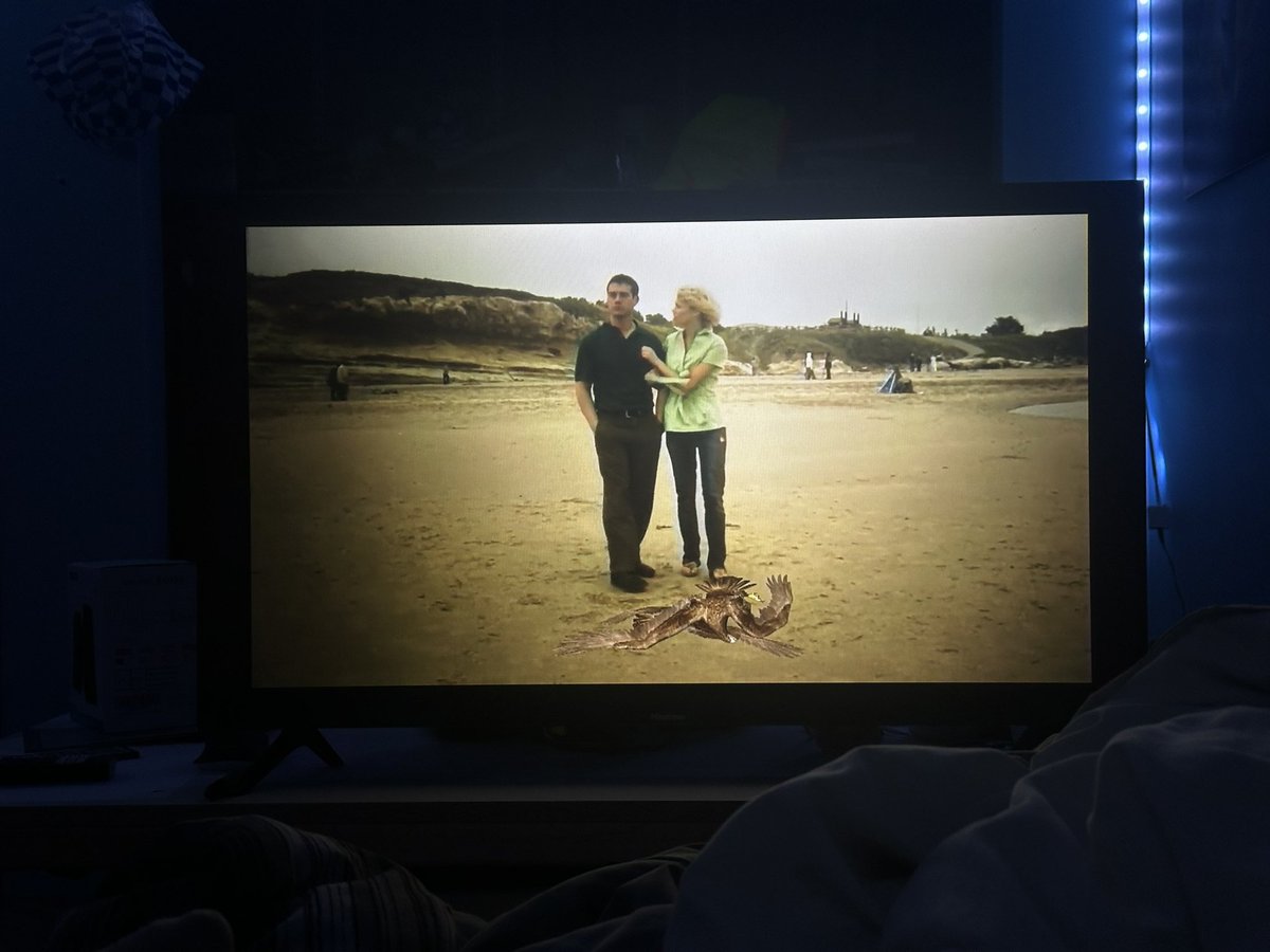 Orion | Clueless | tweet media