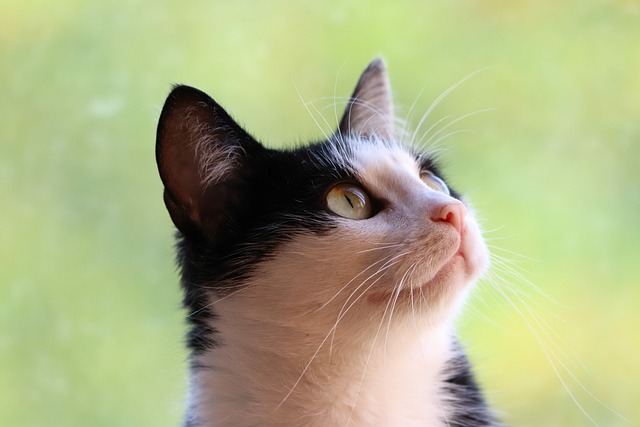 Sarah Nelson tweet media