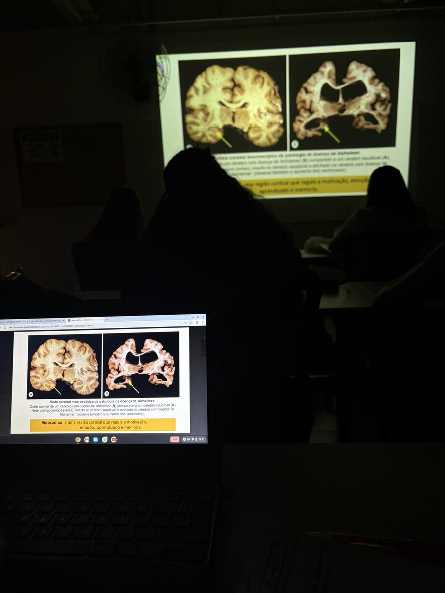 line 🔬|| faz cronogramas personalizados tweet media