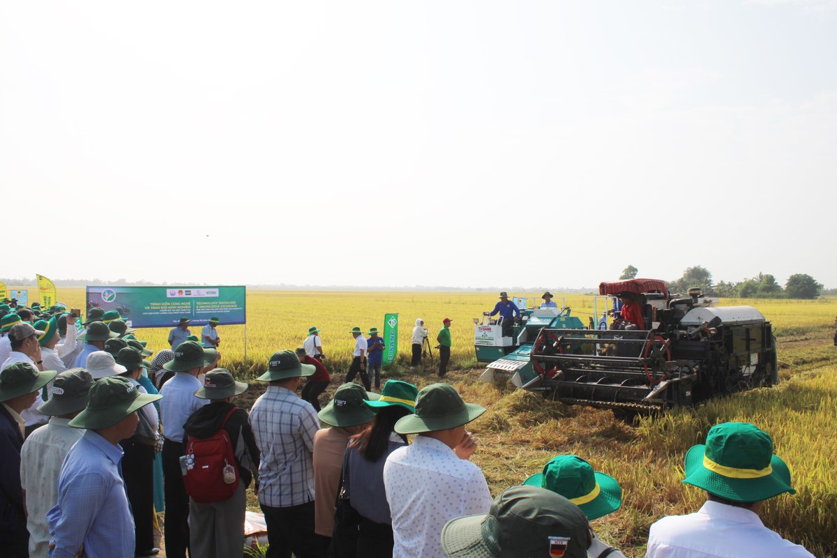 IRRI 🌾 tweet media