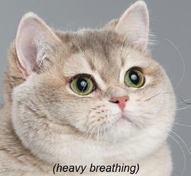 AwDamn 🍻 tweet media