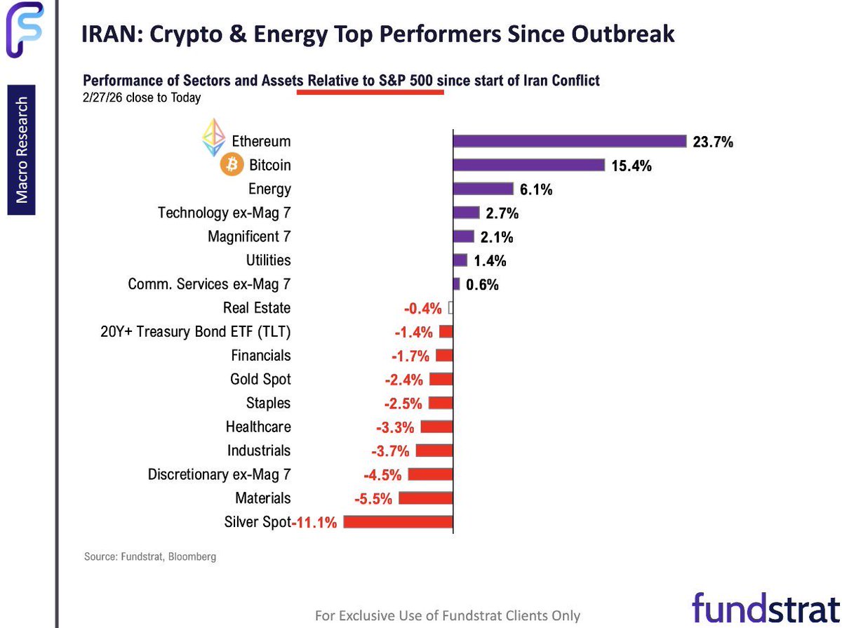 THE SHORT BEAR tweet media