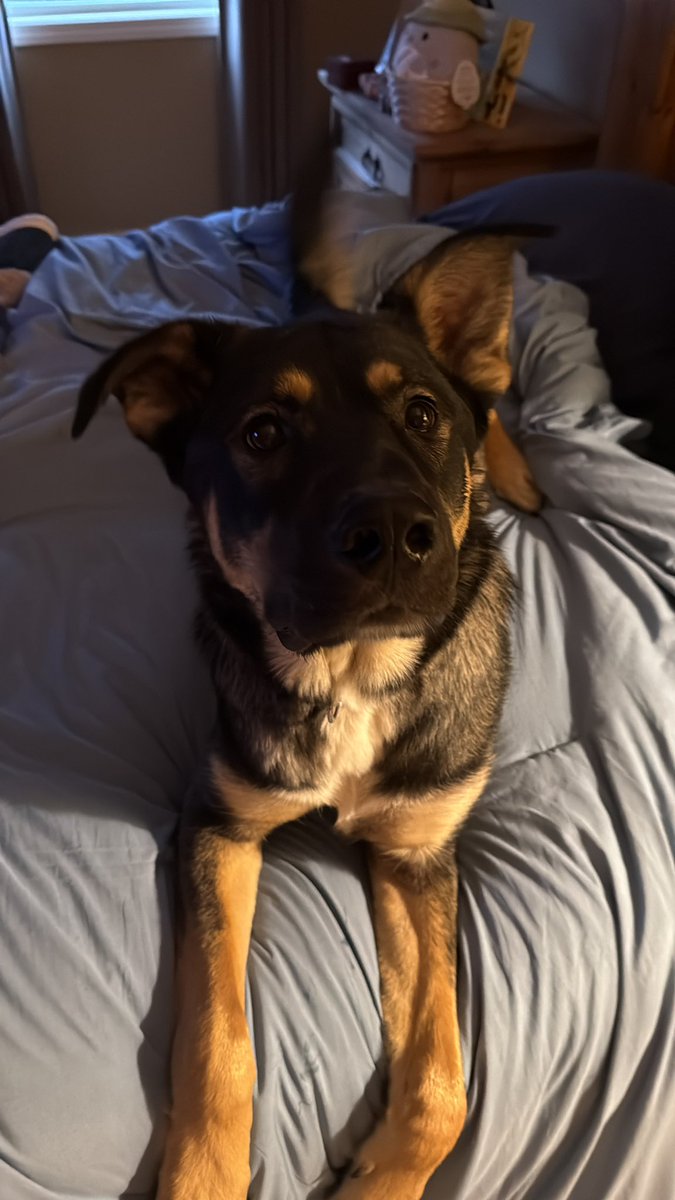 💯👊Russell👊💯 tweet media