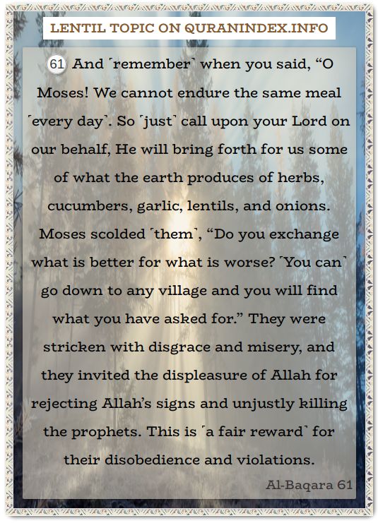 QuranIndex's tweet image. Discover Quran Verses about #Lentil @ quranindex.info/search/lentil [2:61] #Quran #Islam