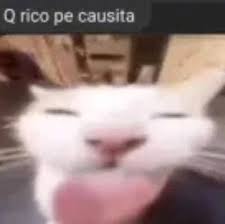 Aujko ᵃ 🔞|comms open(0/3) tweet media