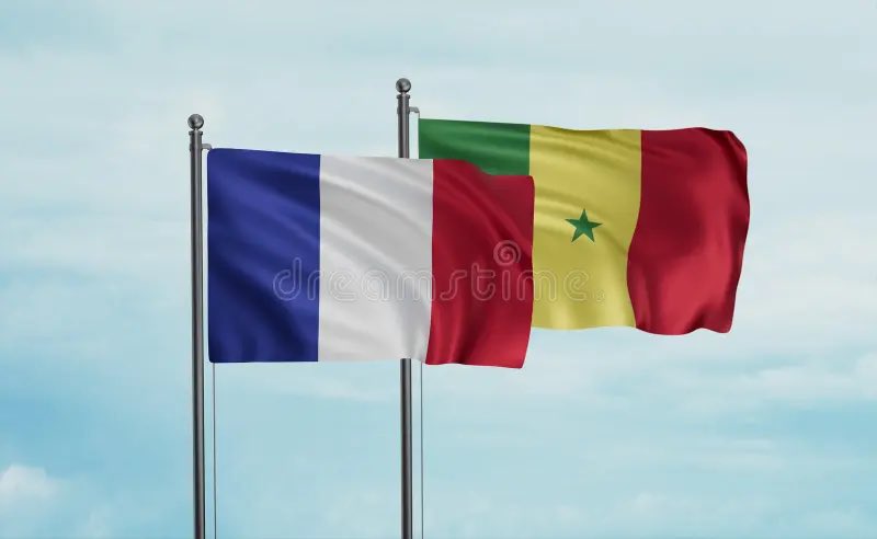 Cpasdeslol tweet media