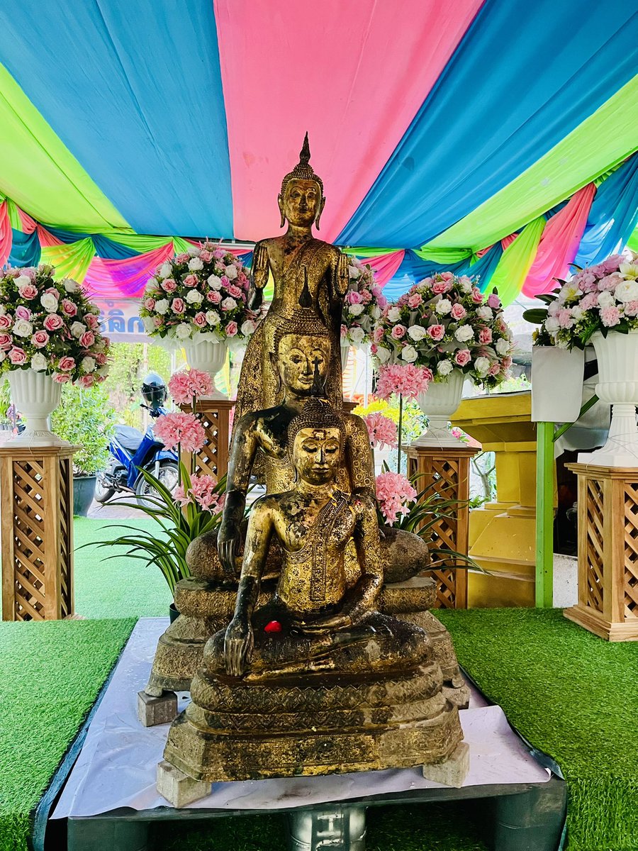 ฟรีแลนซ์สายบวก+++ tweet media