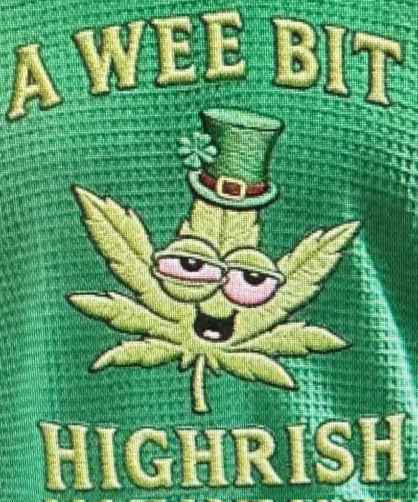 Fritz - The Cat ! tweet media