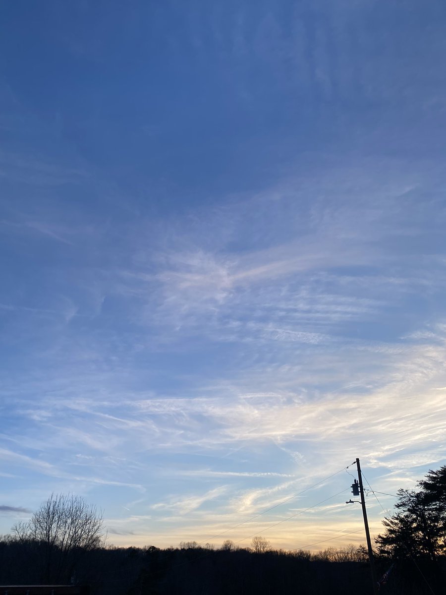 Springtucky tweet media