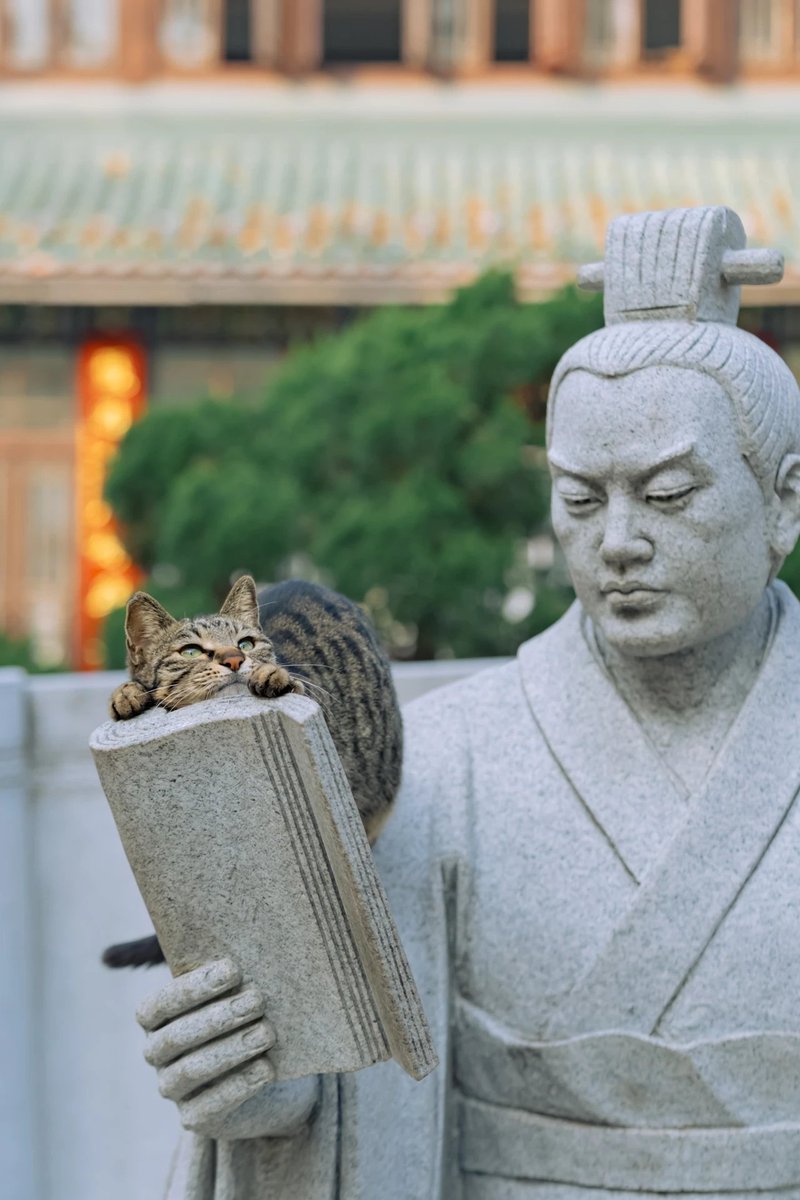 Wade（互fo） tweet media