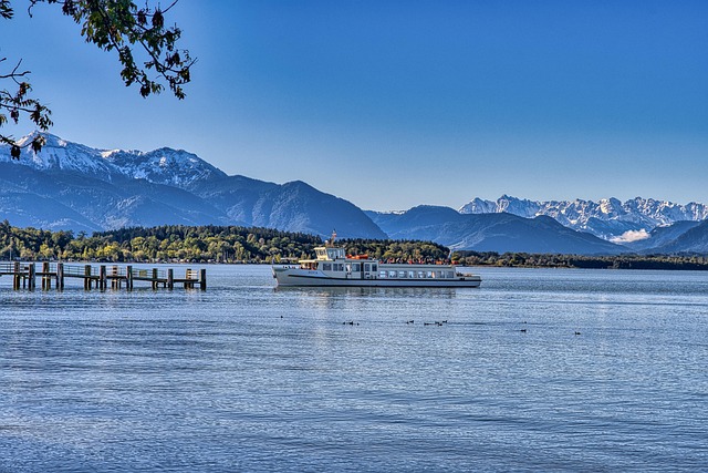 Angela Davis tweet media